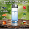 Hydrogen Water Generator